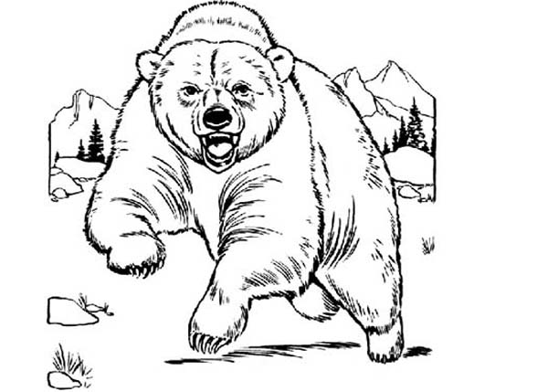 600x429 Bear Is Angry Coloring Page