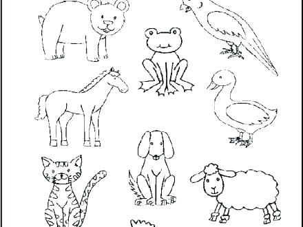 440x330 Brown Bear Coloring Pages Bear Coloring Pages Bear Coloring Pages