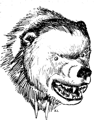 315x400 Free Bear Coloring Page Clipart, Page Of Free To Use Images