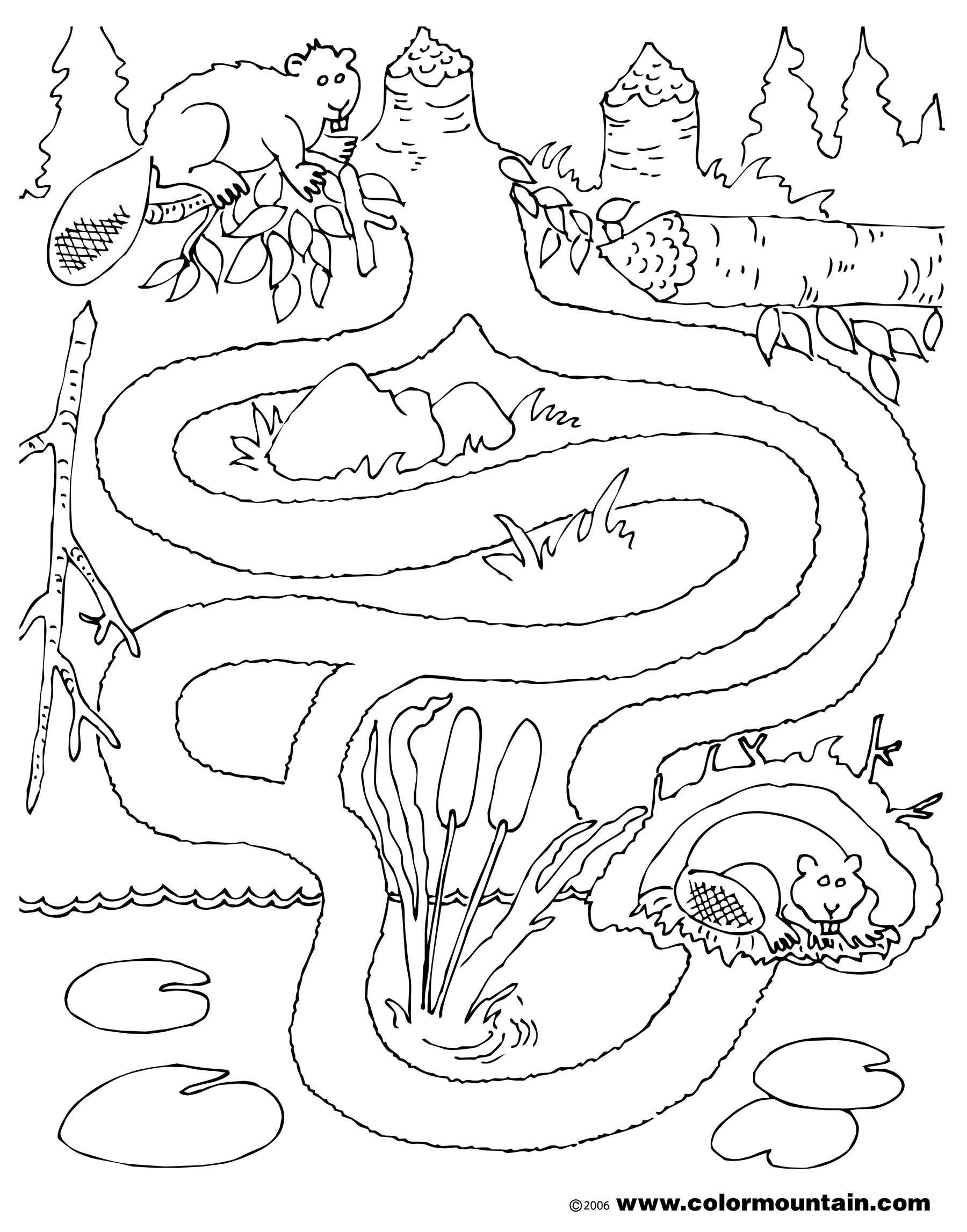 1800x2294 Beaver Coloring Page Coloring Moana Art