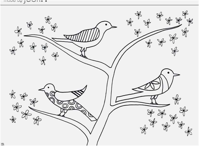 827x609 Printable Bird Coloring Pages Collection Angry Birds Coloring
