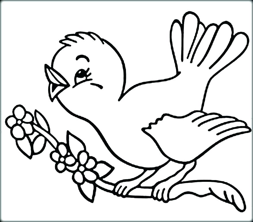 878x768 Blue Angry Bird Coloring Page