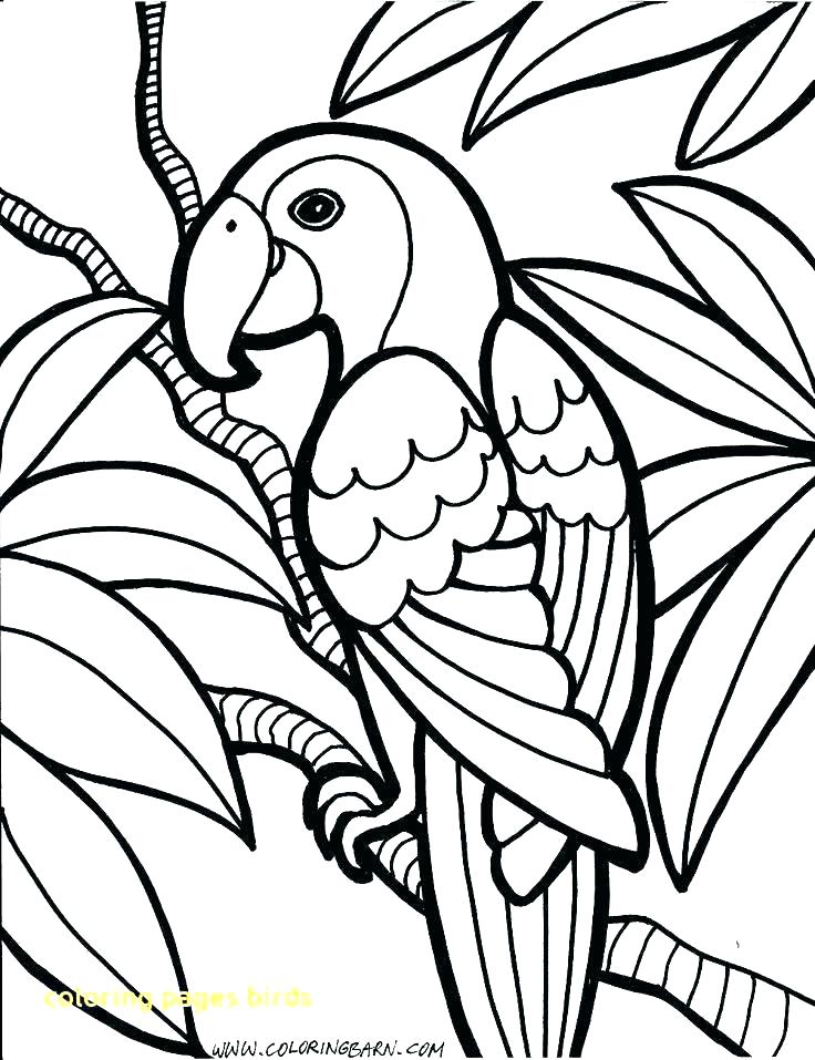736x957 Angry Birds Coloring Pages Red Bird Angry Coloring Pages Birds