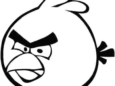 440x330 Cardinal Bird Coloring Page Printable Printable Coloring Printable