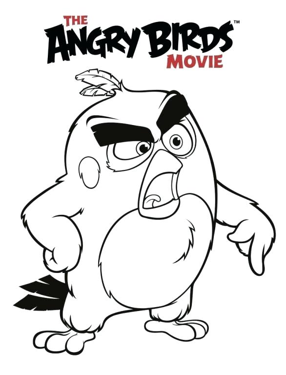 586x768 Coloring Angry Birds Go Coloring Pages Minion Pig Free Clip Arts