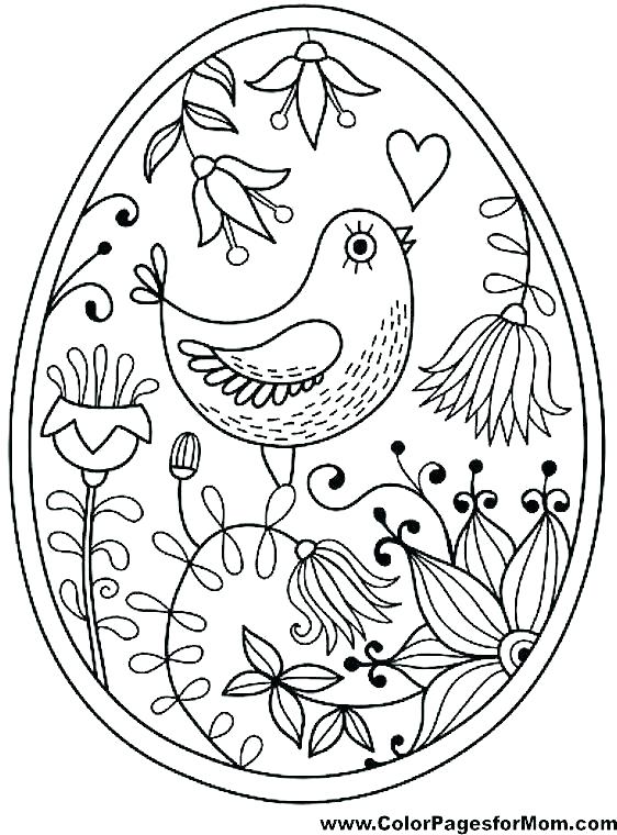 562x760 Angry Birds Printable Coloring Pages Birds Coloring Pages Bird