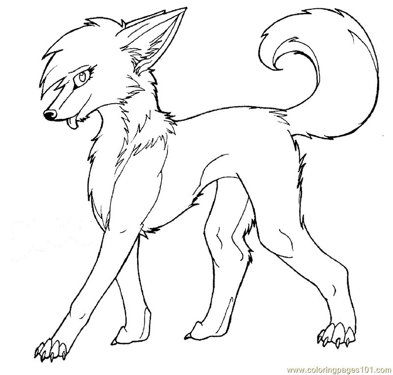 800x763 Collage Coloring Pages Wolf Anime Wolf Coloring Pages Animal