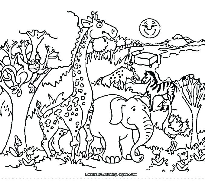 678x600 Coloring Pages Zoo Animals Wild Animals Coloring Book And Zoo