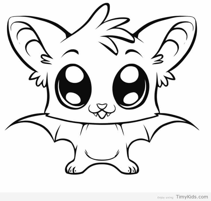 736x702 Easy Cute Animal Coloring Pages Timykids