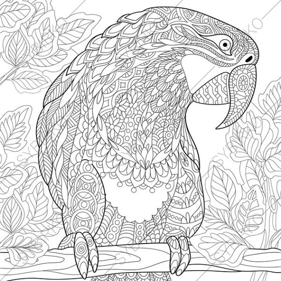 570x570 Macaw Parrot Coloring Pages Animal Coloring Book Pages