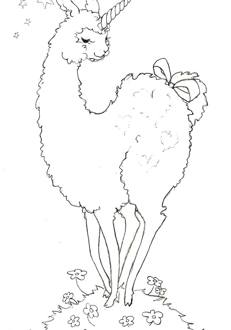 736x1050 Llama Coloring Page Llama Animal Coloring Pages Alpaca Coloring