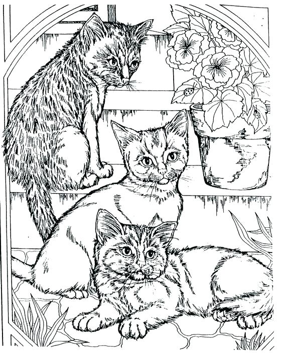 564x702 Coloring Pages Cool Cool Adult Coloring Pages Cool Animal Coloring