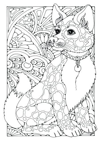 354x500 Cool Animal Coloring Pages Adult Coloring Pages Cool Animal