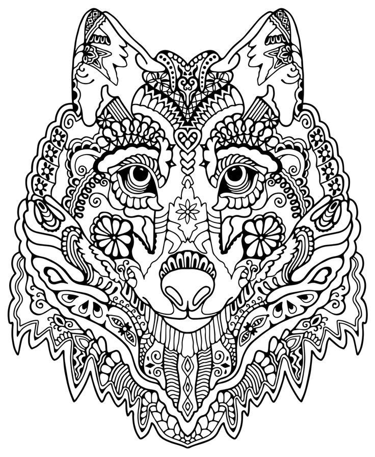 736x896 Detailed Animal Coloring Pages For Teenagers Beautiful Best