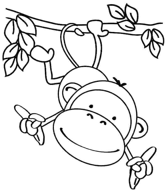 666x769 Easy Coloring Pages Toddlers Animal Coloring Pages