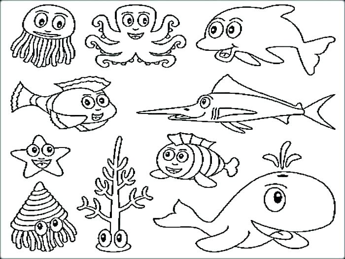 700x525 Sea Animal Coloring Pages Animal Coloring Pages For Toddlers
