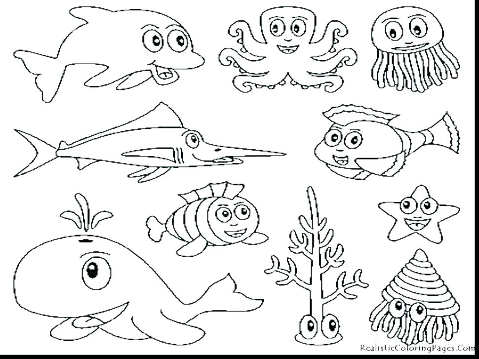 970x727 Sea Animals Coloring Pages Icontent