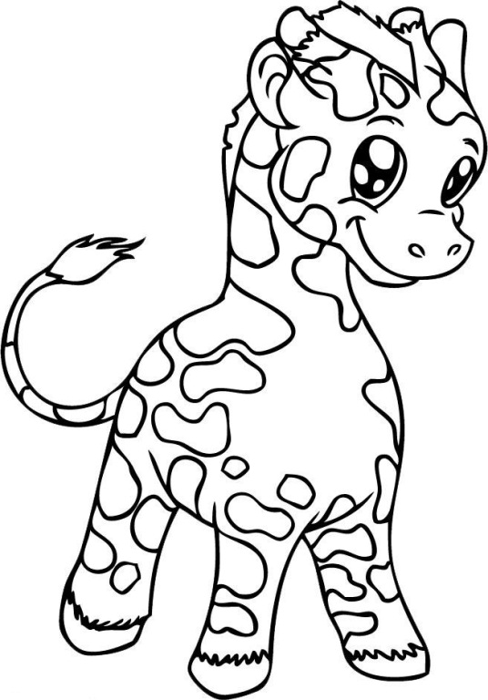 536x768 Cute Baby Giraffe Coloring Pages