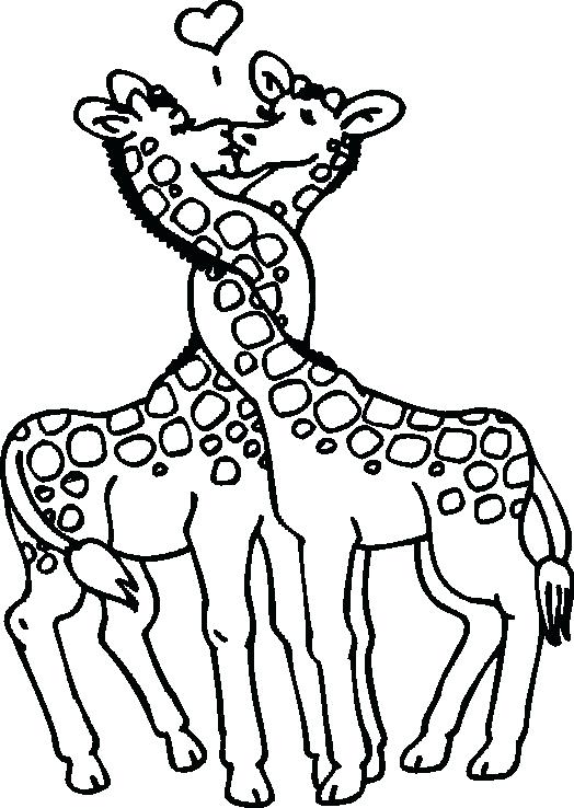 524x738 Giraffes Coloring Pages Giraffe Coloring Picture Free To Print