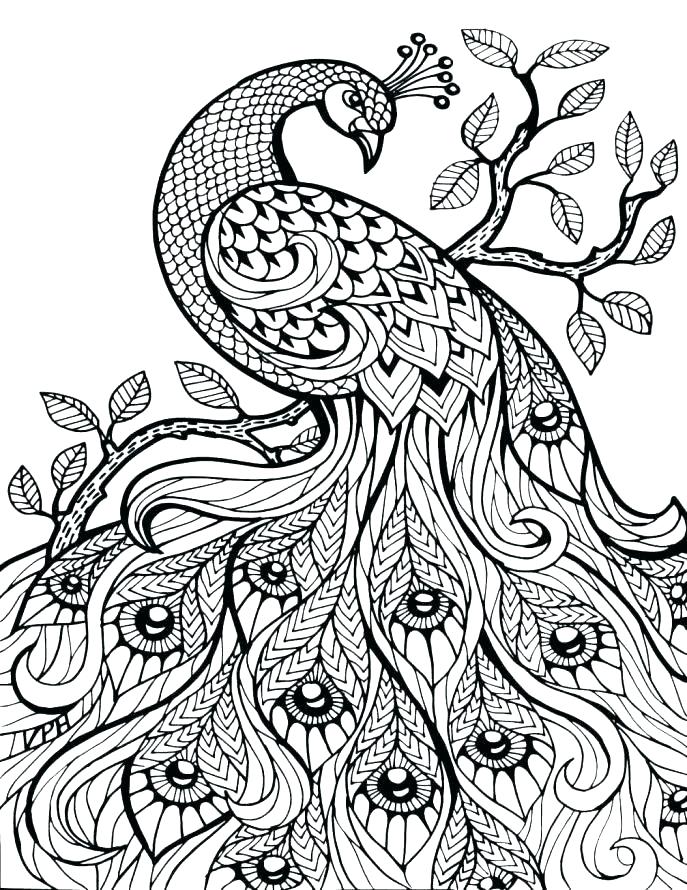 687x890 Detailed Animal Coloring Pages Detailed Animal Coloring Pages