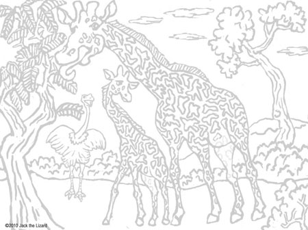 450x336 Hard Animal Pattern Coloring Pages