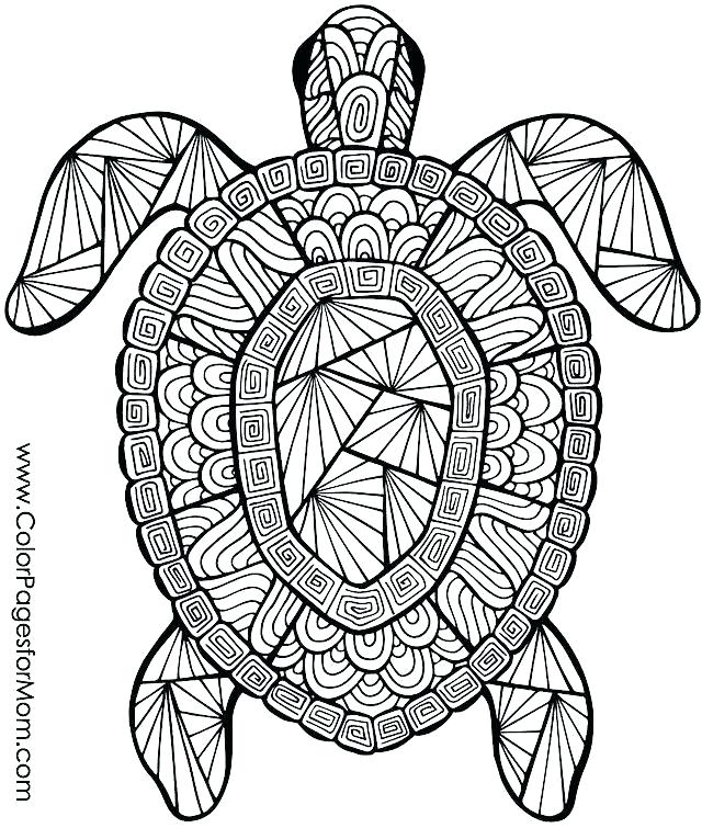 640x755 Coloring Pages Of Animals Coloring Pages For Kids Animals Animal