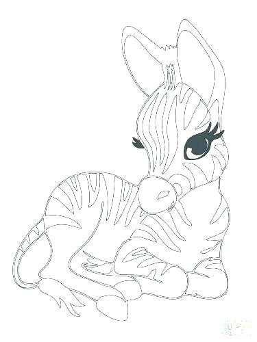 375x500 Animals Coloring Pages Online
