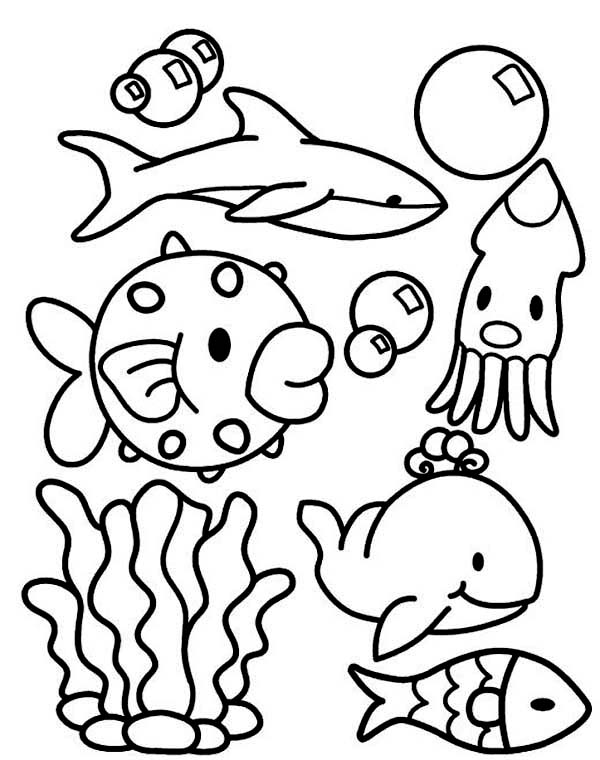 600x760 Sea Animal Coloring Pages Printable Free Cute Sea Animal Dolls