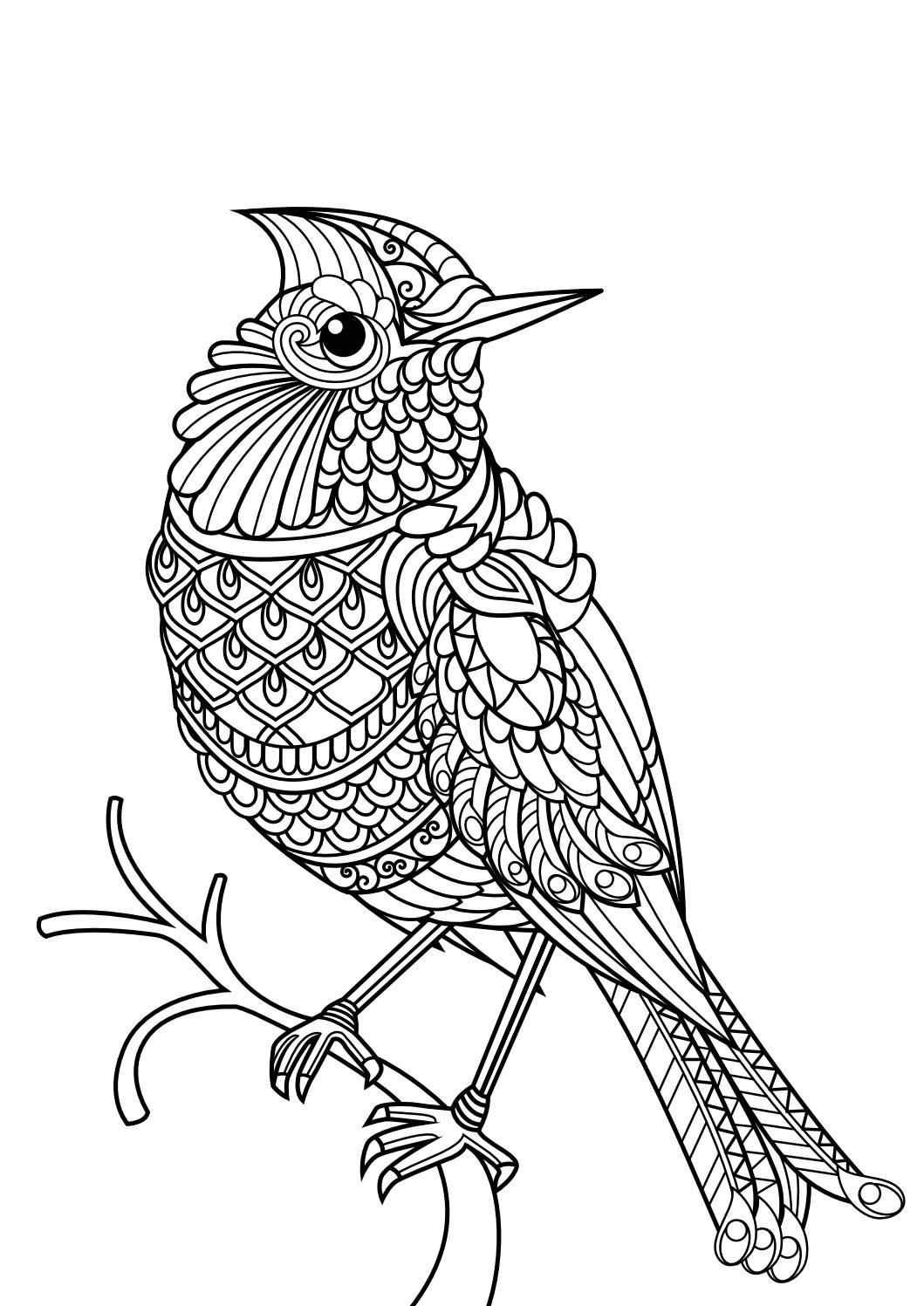 1059x1497 Animal Coloring Pages Pdf Adult Coloring, Dog Cat And Coloring Books