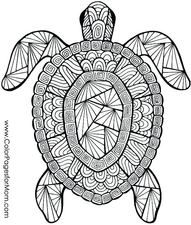 640x755 Free Printable Animal Coloring Pages Baby Farm Animals Coloring