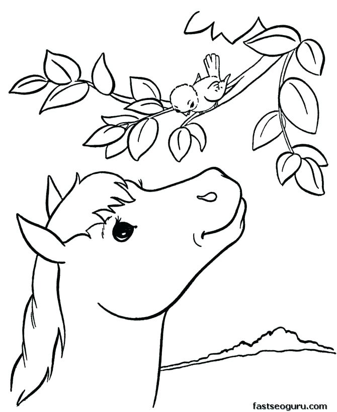670x820 Animal Print Coloring Pages