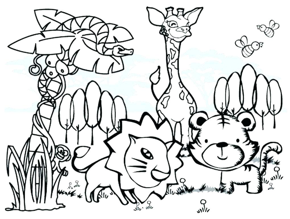 1020x768 Rainforest Animals Coloring Pages Animals Coloring Page Amazon