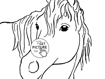 440x330 Horse Face Coloring Page