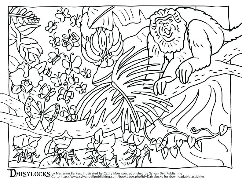 792x612 Animal Habitat Coloring Pages Realistic Coloring Realistic