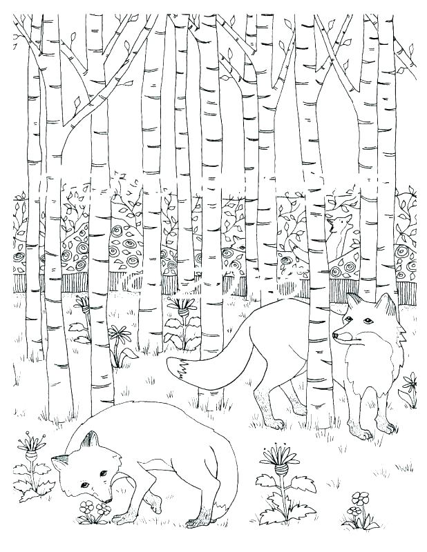 618x800 Free Animal Habitat Coloring Sheets Pages Rain Forest Zoom