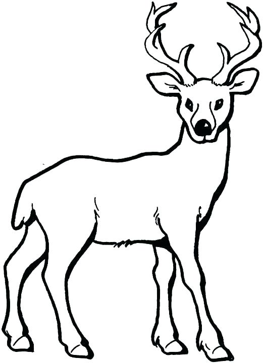 521x720 Deer Head Coloring Pages John Coloring Sheets John Gator Coloring