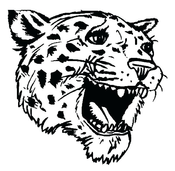 600x588 Jaguar Coloring Sheet Jaguar Coloring Pages Jaguar Head Coloring