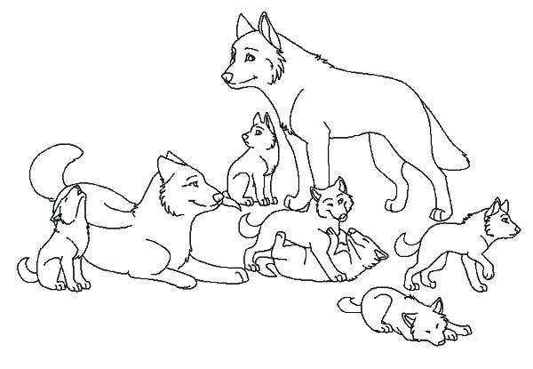 600x415 Wolf Color Page Babies Wolf Coloring Page Animal Jam Coloring