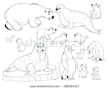 450x365 Arctic Fox Coloring Page Fox Coloring Pages For Kids Animal Jam