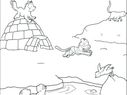 440x330 Arctic Animal Coloring Pages Arctic Animal Coloring Pages Best
