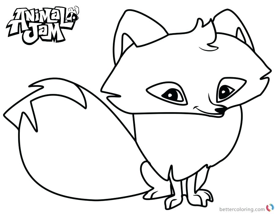 900x700 Arctic Coloring Pages Arctic Animal Coloring Pages Download
