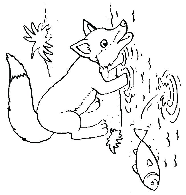 652x684 Arctic Fox Coloring Page Arctic Animal Arctic Fox Coloring Page