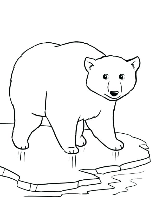 600x777 Arctic Fox Coloring Page Arctic Animals Coloring Pages Arctic