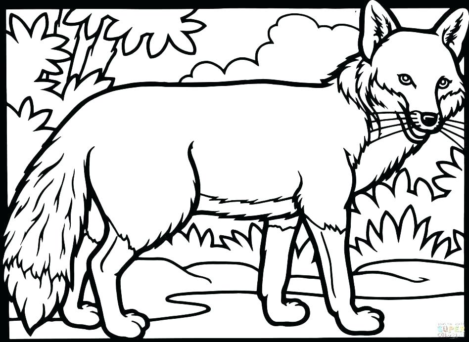 948x692 Arctic Fox Coloring Page The Mitten Coloring Pages Fox Coloring
