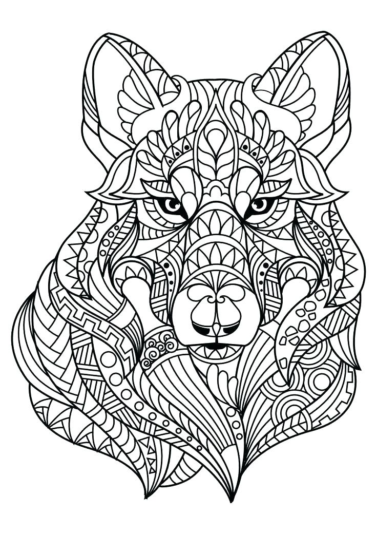 736x1040 Coloring Pages Animal Gorgeous Animal Pictures Preschool In Snazzy