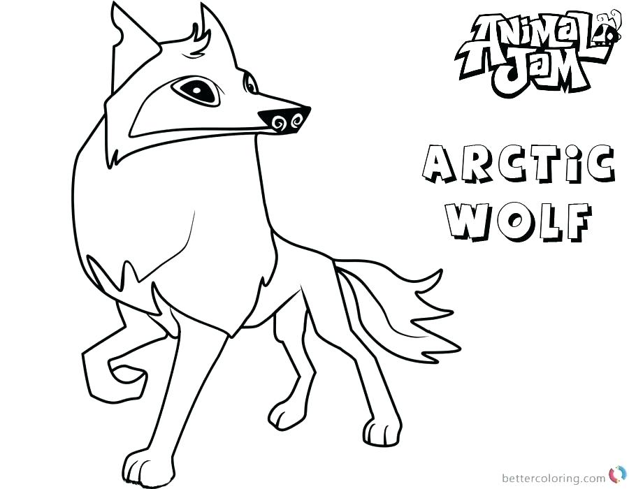 900x700 Arctic Coloring Pages Arctic Habitat Coloring Pages Arctic