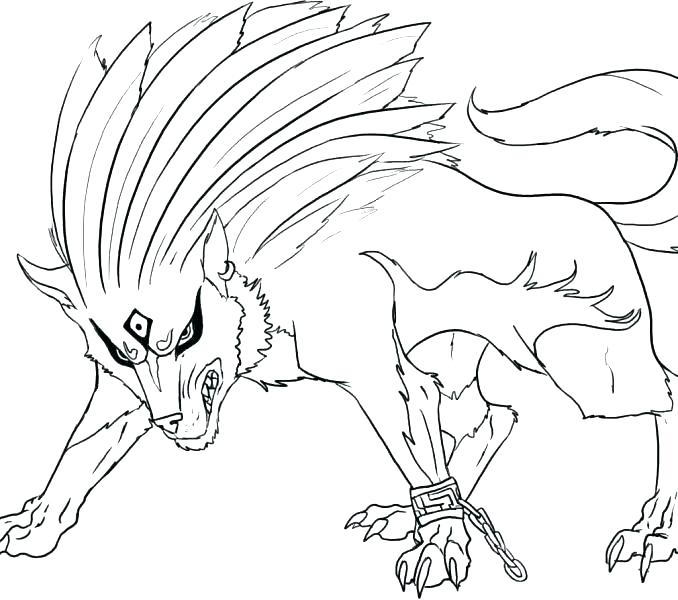 678x600 Wolf Coloring Also Big Bad Wolf Coloring Pages Free Arctic Wolf