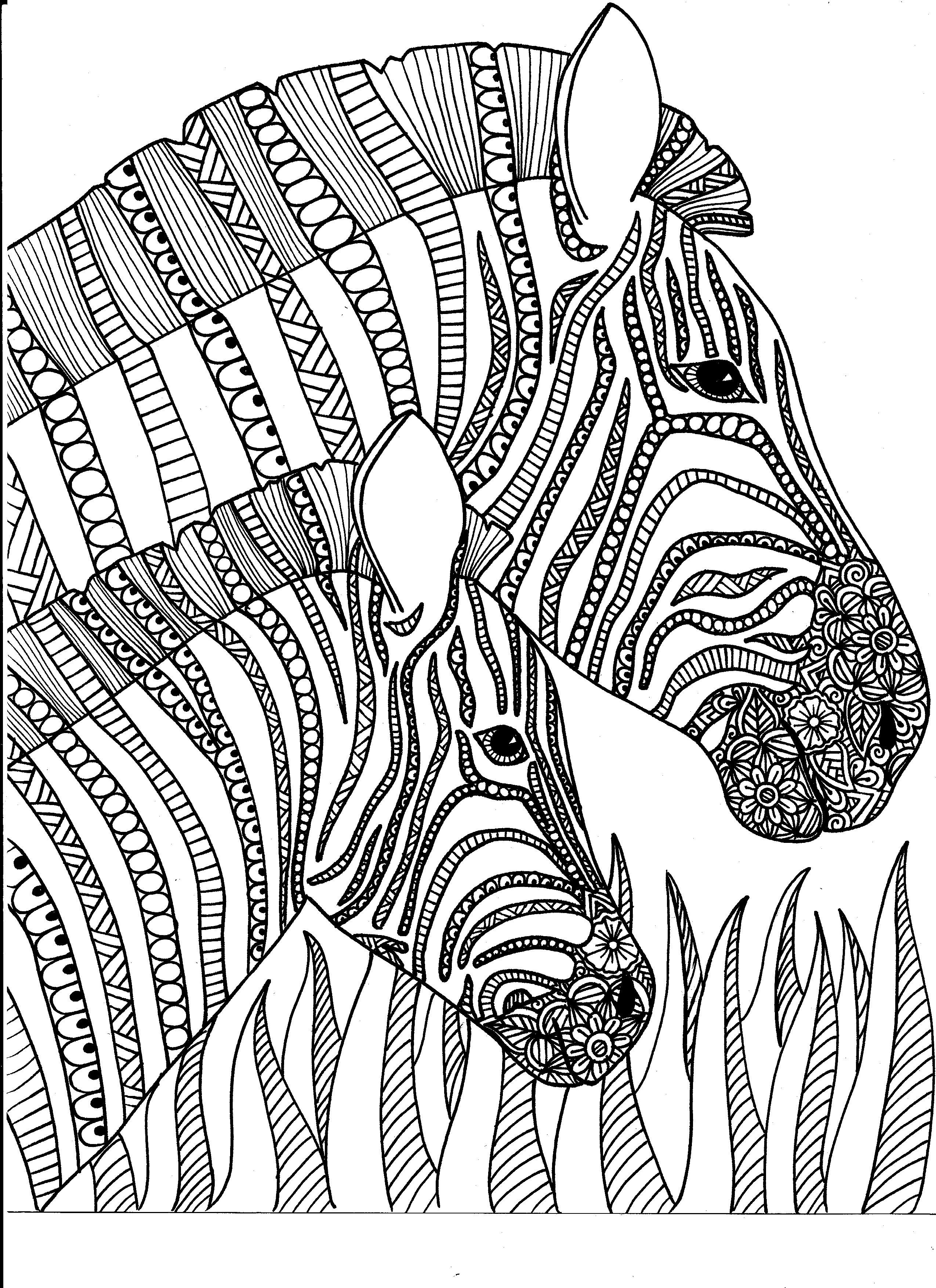 Animal Kingdom Coloring Pages at GetDrawings | Free download