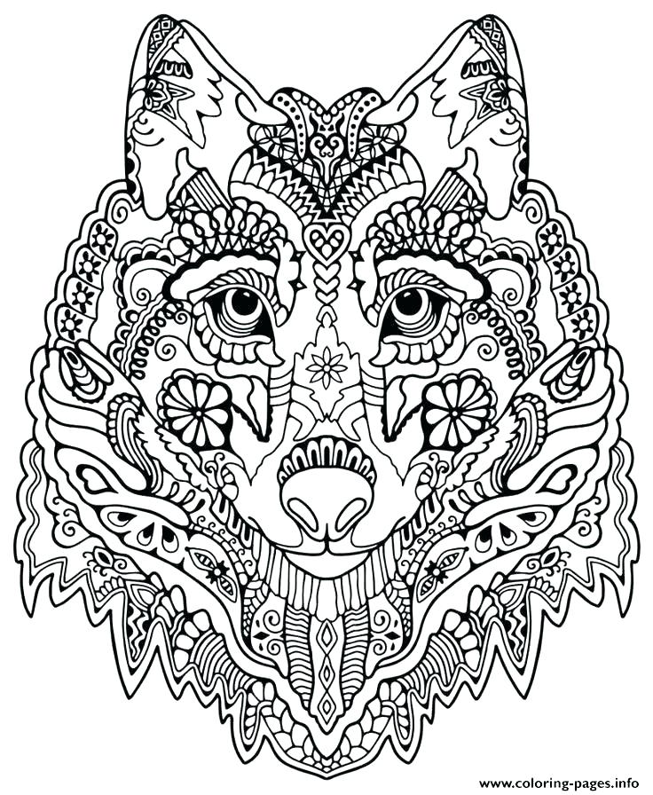 736x896 Animal Mandala Coloring Book
