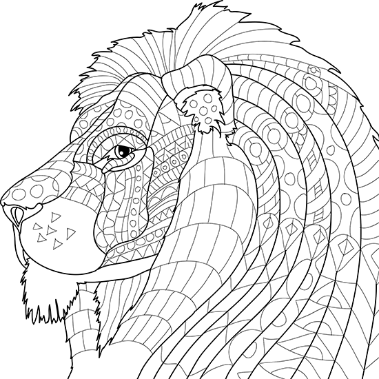550x550 Animal Kingdom Adult Coloring Book With Color Pencils